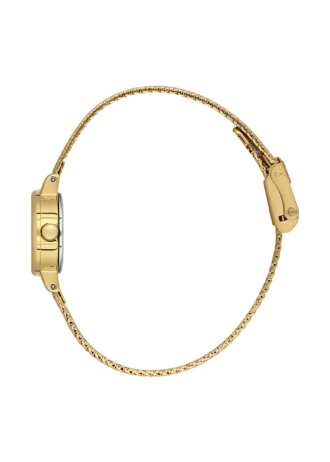 שעון נשים Daniel Klein Aura DK.1.14381-2 לוח כסוף גימור זהב רצועת רשת