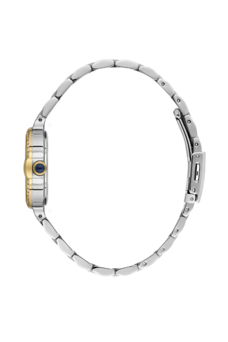 שעון נשים Daniel Klein DK.1.14365-3